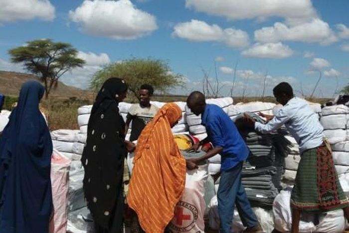 International Committee of the Red Cross (ICRC)