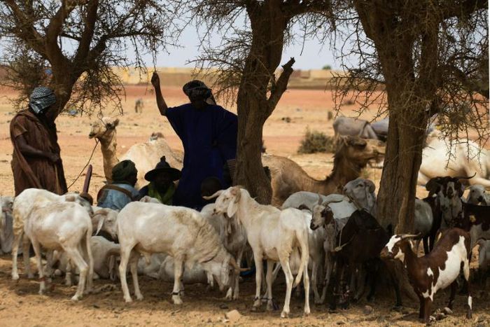 Mali has been struggling with a surge in jihadist violence but also from inter-communal bloodshed between hunters and herders