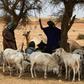 Mali has been struggling with a surge in jihadist violence but also from inter-communal bloodshed between hunters and herders
