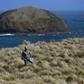 As much of Asia wheezes, coughs and sniffles its way through another smog season, one isolated and windswept corner of Australia is serving as the global standard for clean air