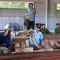 Vietnamese customs officials inspect a huge haul of suspected ivory seized from a timber shipment from the Republic of Congo