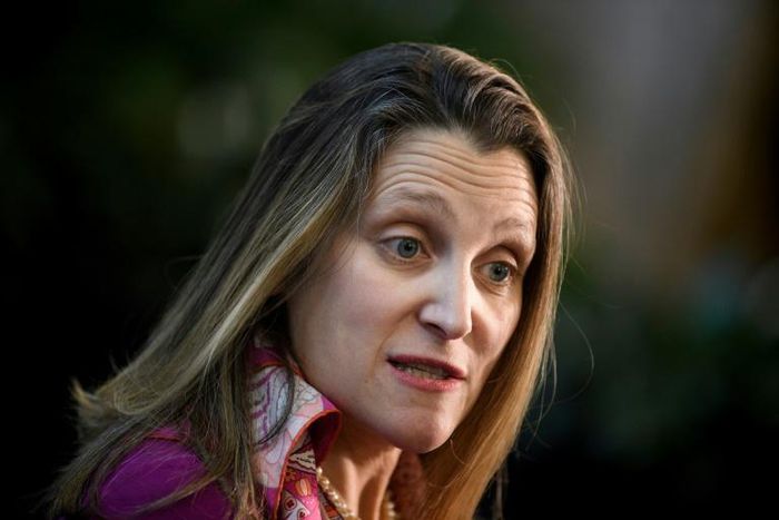 Freeland said the aim was to polarise Western societies and undermine democracy