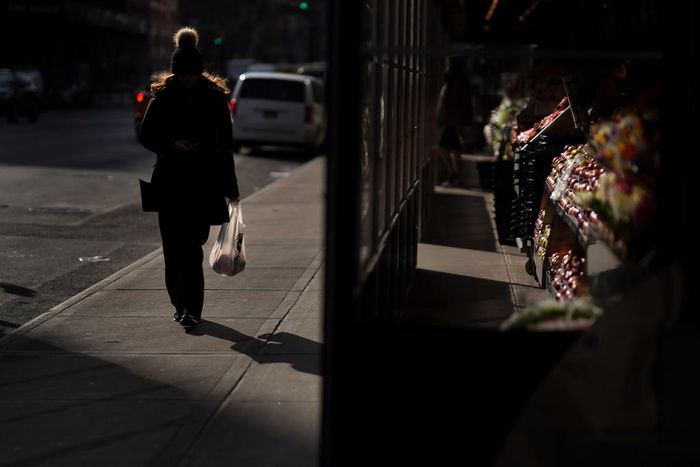 Most Single-Use Plastic Bags to Be Banned in New York State