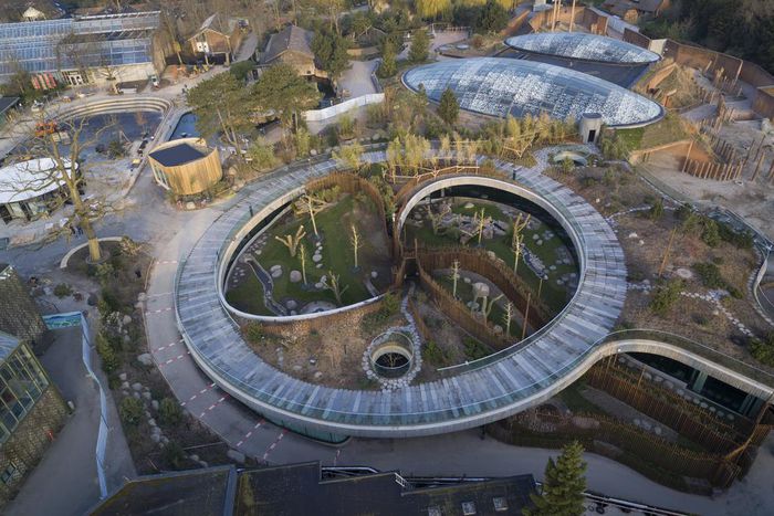 'Panda Diplomacy': A $24 Million Zoo Enclosure Angers Some