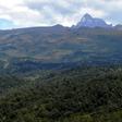 East Africa alone has lost 6 million hectares of forest since 2000