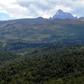 East Africa alone has lost 6 million hectares of forest since 2000