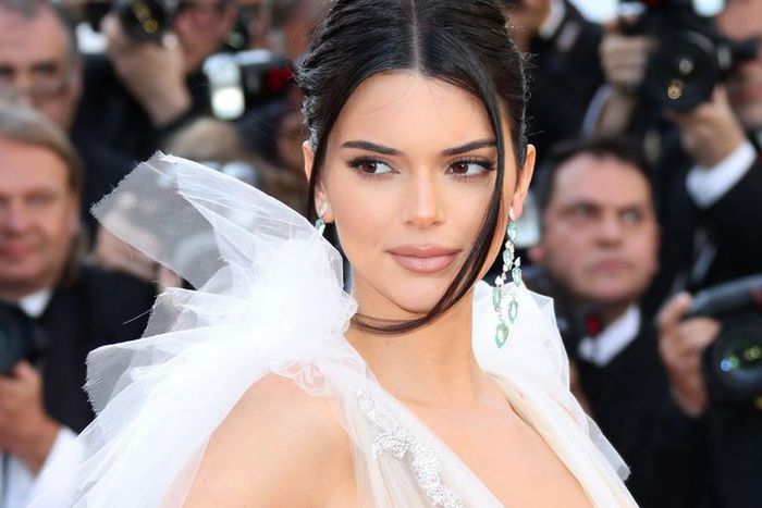 Kendall Jenner Instagrams A Snake In Her Hair