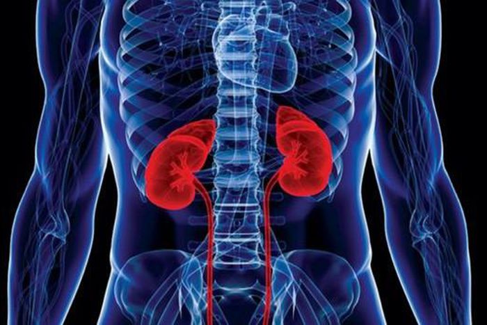 5 tips on how to keep you kidneys healthy on World Kidney Day 2019