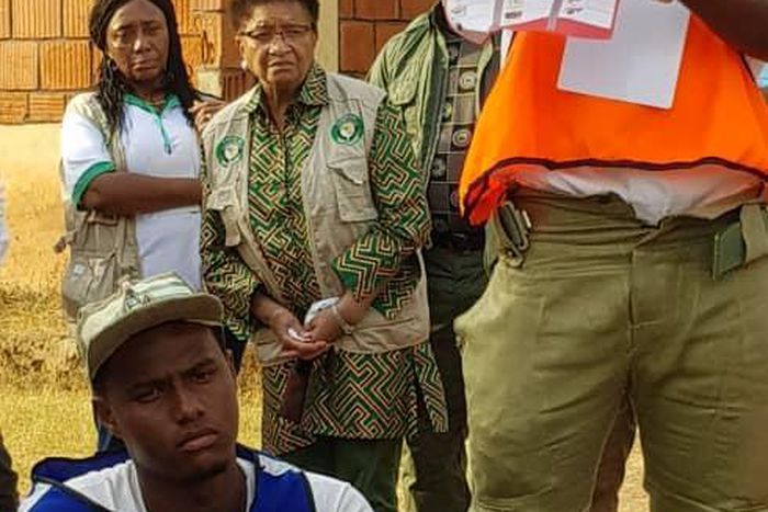 2019 elections ballot paper INEC