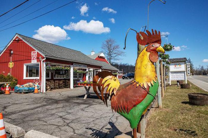Harding township, NJ a historic place that feels like the country