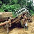 Timber treasure: Gabon is home to rich tropical forests -- but its stewardship is coming under close scrutiny by environmental watchdogs