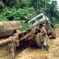Timber treasure: Gabon is home to rich tropical forests -- but its stewardship is coming under close scrutiny by environmental watchdogs