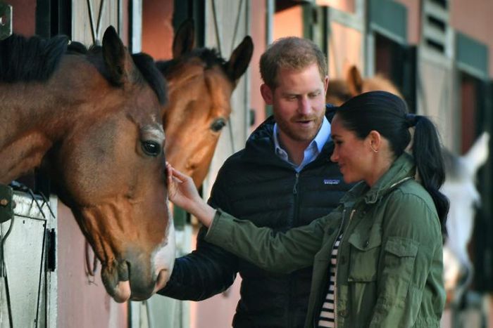 Prince Harry and his wife Meghan petted the horses which are providing a source of therapy for young people with disabilities