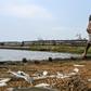 Juan Maurice finds only slim pickings in his fishing net cast in the dirty, oil-slicked waters of Lake Maracaibo
