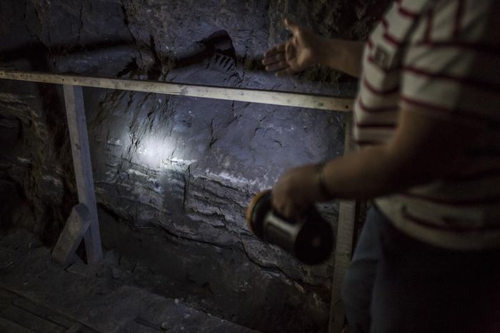 Fossils Are Filling Out the Human Family Tree