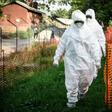 The UN says 30 percent of the 683 victims registered so far are children or aged less than 18 years