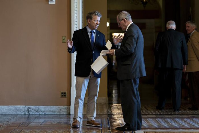 Rand Paul Opposes Trump's Emergency Declaration, Likely Providing Decisive Vote