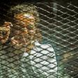 Egyptian photojournalist Mahmoud Abu Zeid, widely known as Shawkan, won UNESCO's World Freedom Prize in 2018 the year an Egyptian court sentenced him to five years in jail