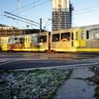 Flowers are displayed at 24 Oktoberplein, in Utrecht, on March 19, 2019, the day after three people were shot dead and several were injured, including one who later died, in a shooting on a tram
