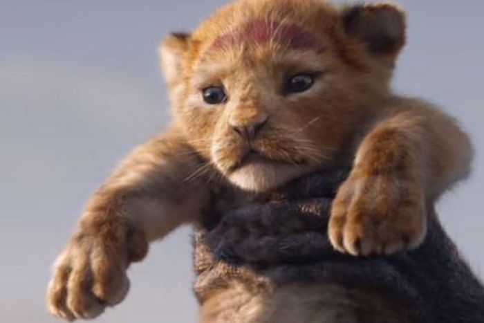 Nigerian Twitter gets emotional after release of Lion King trailer