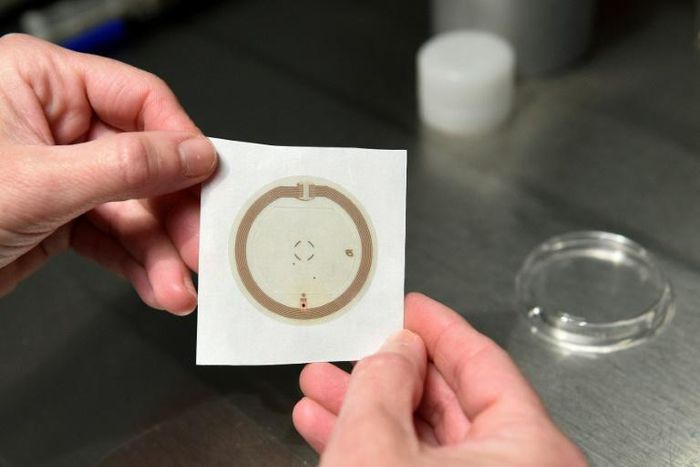 The Dutch doctor, now deceased, allegedly used his own sperm instead of those from a donor to inseminate patients