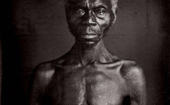 Who Should Own Photos of Slaves? The Descendants, Not Harvard, a Lawsuit Says