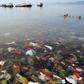 The world currently produces more than 300 million tonnes of plastics annually, and there are at least five trillion plastic pieces floating in our oceans, scientists have estimated