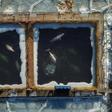 Nearly 100 orca and beluga whales captured for sale to aquariums have been kept in small pens dubbed a "whale jail" in the Russian Far East