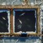 Nearly 100 orca and beluga whales captured for sale to aquariums have been kept in small pens dubbed a "whale jail" in the Russian Far East