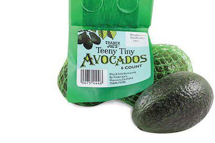 The Tiny Avocado is Back!