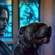 John Wick 3 Releases New Character Posters