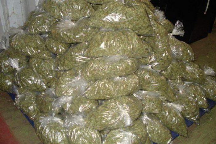 Man, 25, charged with trafficking 4kg of hemp [ghanaguardian]