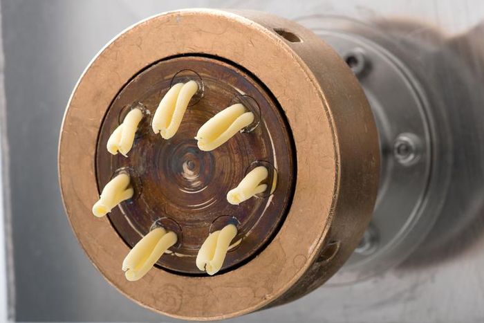 Dr. Pimple Popper Tackles Some Goopy Blackheads