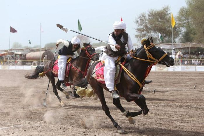 The cavalry sport of tent-pegging requires a mounted horseman to pierce and pick up a peg from the ground at a full gallop