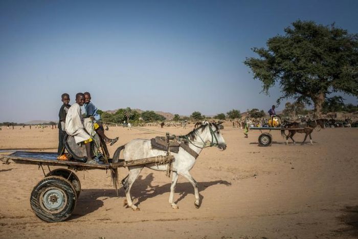 Water vendors in the arid Ouaddai district of Chad travel back and forth between meagre supplies and needy folk in town