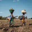 Evacuated women walked to a shelter after collecting maize on the ground which was under flooded water because of Cyclone Idai