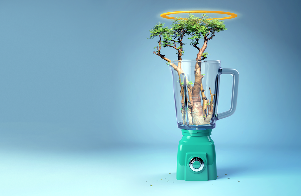 Is Moringa Good for You?