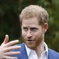 Prince Harry Really Hates Fortnite, Huh?