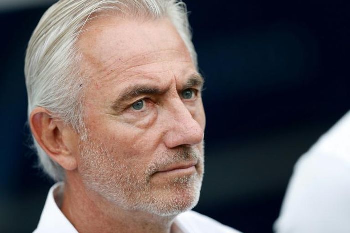 Bert van Marwijk (pictured June 2018), who led the Netherlands national side to the 2010 World Cup final and last coached Australia, will be the new United Arab Emirates coach
