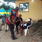Samuel was apprehended while trying to abort the pregnancy at a private hospital in Warri, Delta state