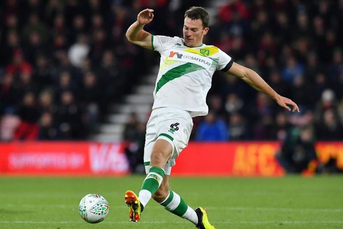 Second-half goals from Christoph Zimmermann (pictured October 2018) and Teemu Pukki ultimately saw Norwich to a comfortable win in south London