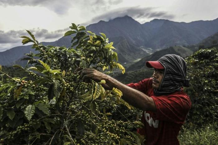 Coffee is Colombia's top export, ahead of oil and mining, but the country doesn't control the sale price