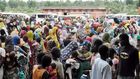 Nigerians refugees in Cameroon