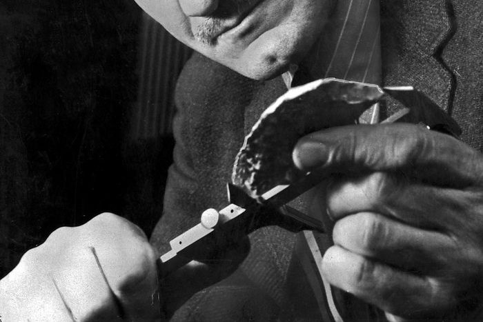 Ralph Solecki, Who Found Humanity in Neanderthals, Dies at 101