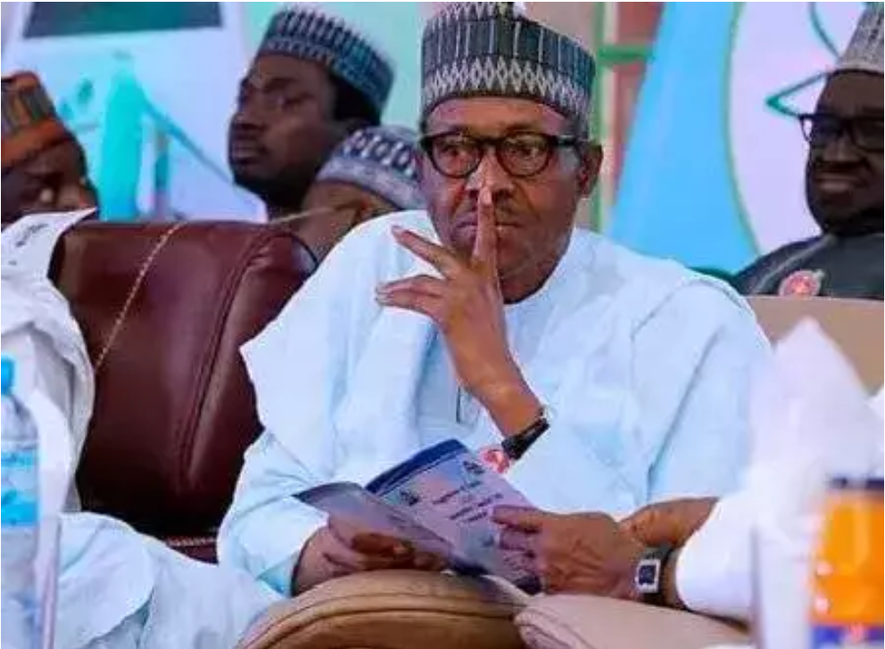 President Muhammadu Buhari (DailyPost)