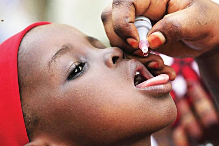 Jigawa state government [dailynigerian]