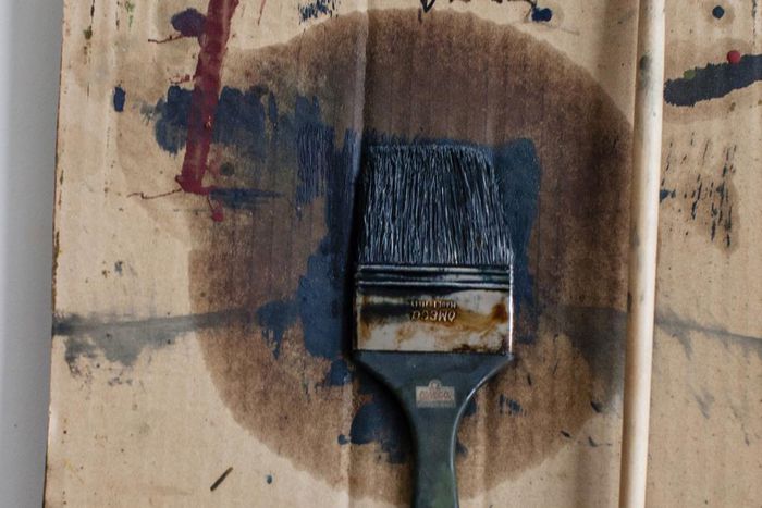 Brice Marden, Still True to His Vision