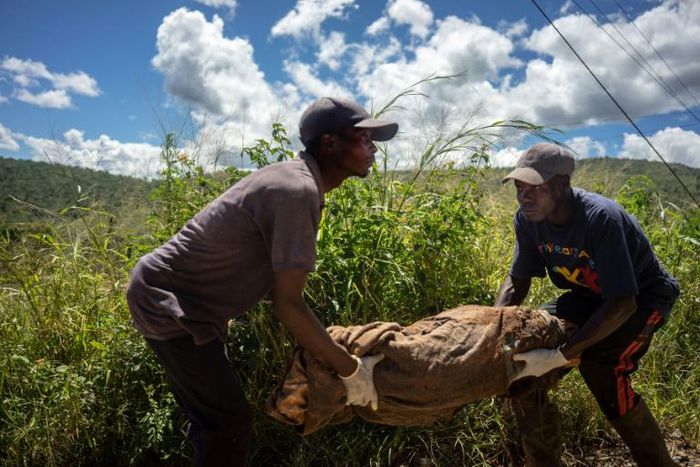 Tiny victim: Two men carry the body of a baby retrieved from the rubble
