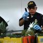 A US Customs and Border Protection officer inspects Mexican pineapple in Laredo, Texas