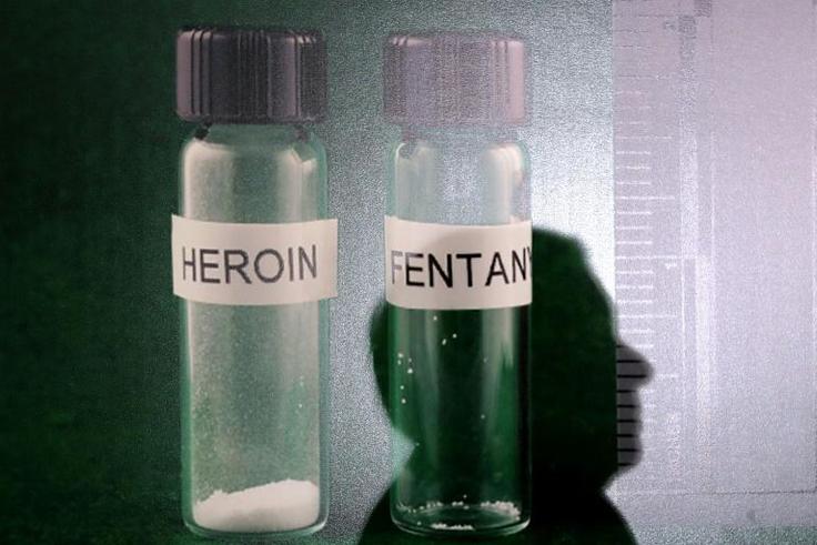 Fentanyl and its analogues are 50 times more powerful than heroin and blamed for a massive opioid epidemic in the United States